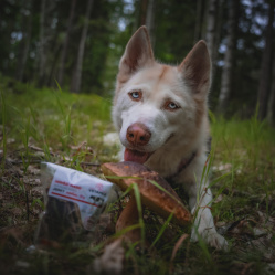 Hovězí maso JERKY Medium 50 g