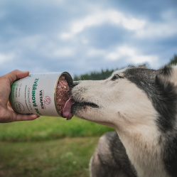 Zvěřinové paté 850 g