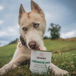 Zverinové paté 850 g