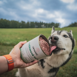 Zverinové paté 850 g